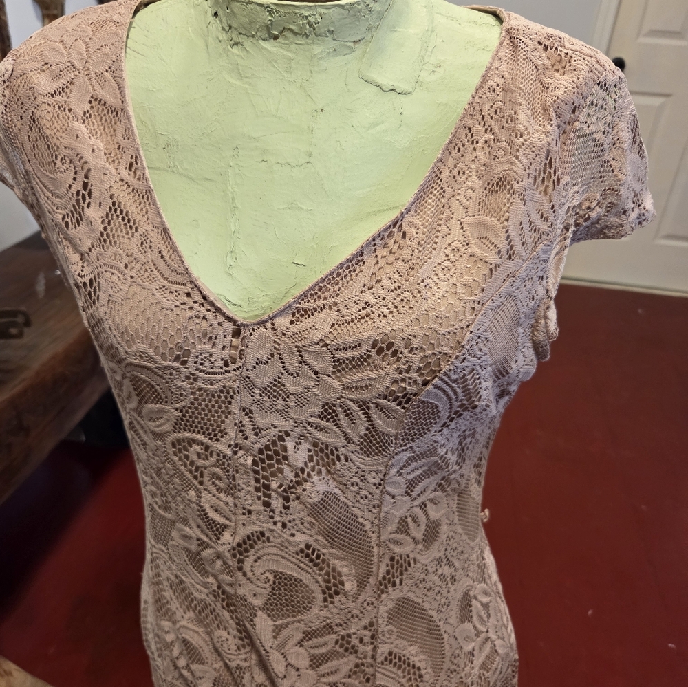 Chic blush Lace V-Neck Dress